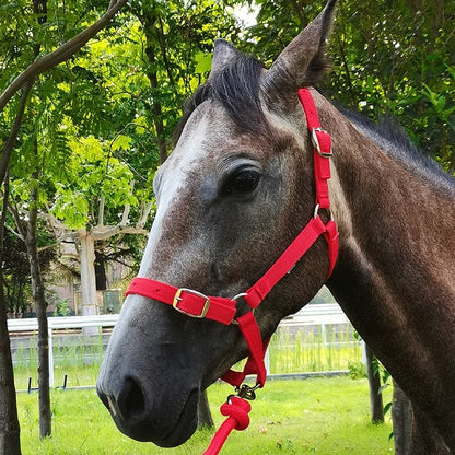 ProHorse - Pferdehalfter